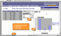 Active XL Report ActiveX Product